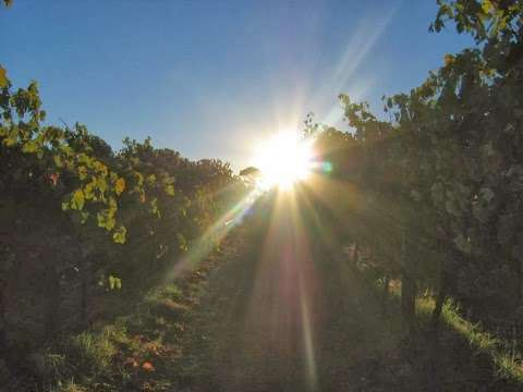 Photo: Oliverhill Winery